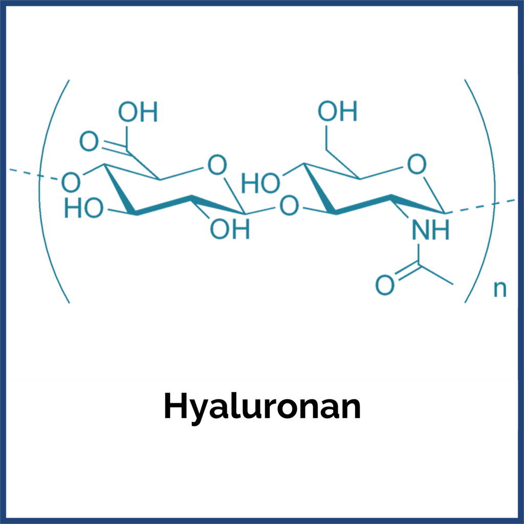 hyaluronan logo2