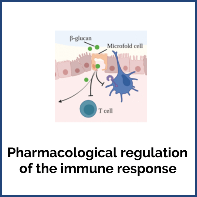 Pharmacological regulation of the immune response logo