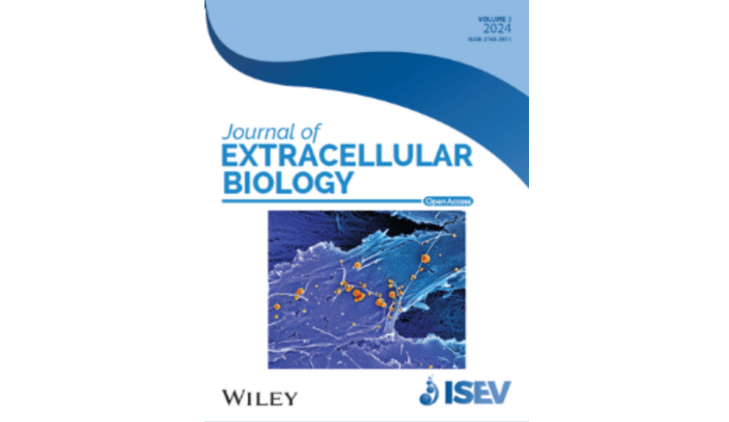 Read more about the article New publication: Growth Phase Matters: Boosting immunity via Lacticasebacillus-derived membrane vesicles and their interactions with TLR2 pathways