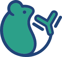 Department of Biophysics of Immune System
