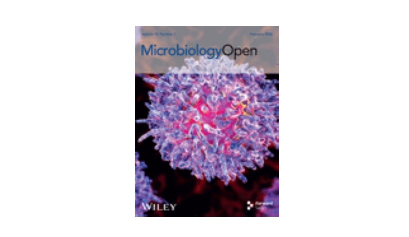 Přečtete si více ze článku New publication: Revisiting Hyaluronan Catabolism in Bacteroides: Pathway Conservation, Overlooked Proteins, and Predictive Accuracy